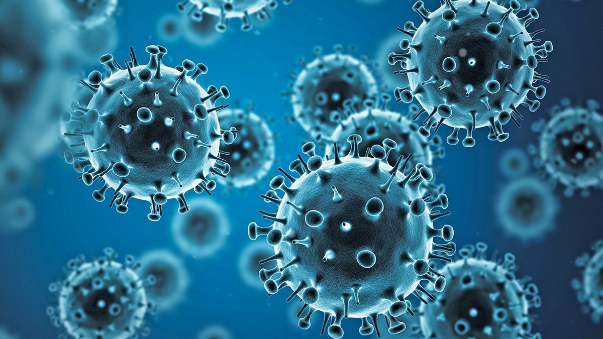 Influenza: Saiba tudo sobre o vírus da gripe - JP DIAGNÓSTICA